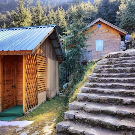 Mid Conifer Cottage Dalhousie Exterior foto